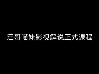 汪哥影视解说正式课程：剪映/PR教学/视解说剪辑5大黄金法则/全流程剪辑7把利器等等-云创网
