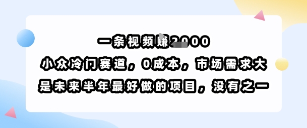 一条视频挣1k，小众冷门赛道，0成本，市场需求大，是未来半年最好做的项目，没有之一-云创网