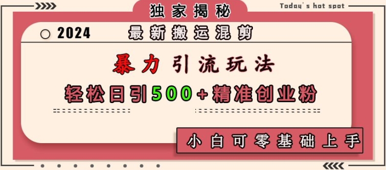 最新搬运混剪暴力引流玩法，轻松日引500+精准创业粉，小白可零基础上手-云创网