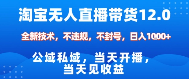 淘宝无人直播12.0，公域私域技术，不封号，不违规布局双十一流量风口，日入1k(独家技术)【揭秘】-云创网