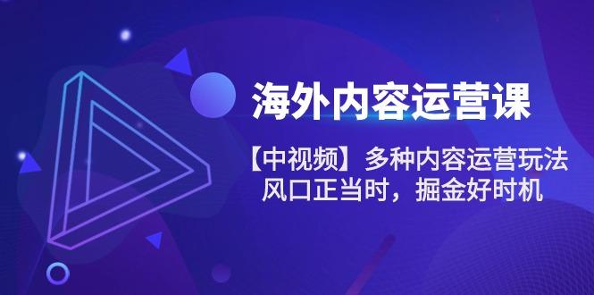 海外内容 运营课【中视频】多种内容运营玩法 风口正当时 掘金好时机-101节-云创网