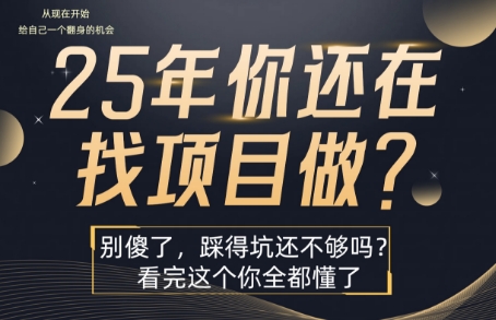 25年，你还在疯狂的找项目吗？别傻了，看完这个你都懂了【揭秘】-云创网