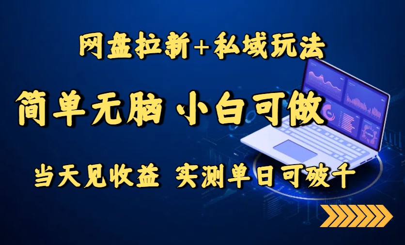 网盘拉新+私域玩法，简单无脑，小白可做，当天见收益，实测单日可破千-云创网