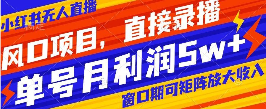 风口项目，小红书无人直播带货，直接录播，可矩阵，月入5w+【揭秘】-云创网