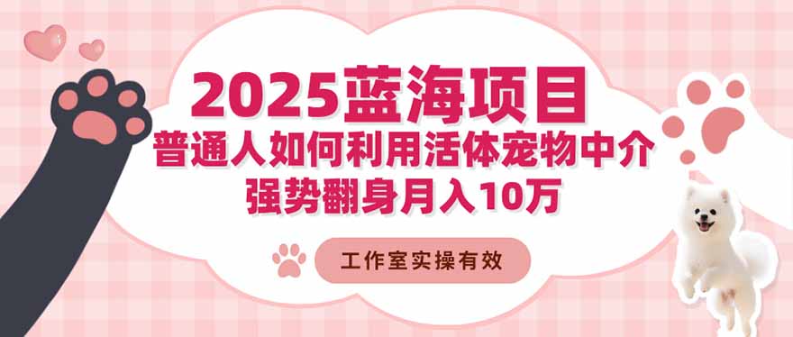 2025蓝海项目：普通人如何利用活体宠物中介，强势翻身月入10万-云创网