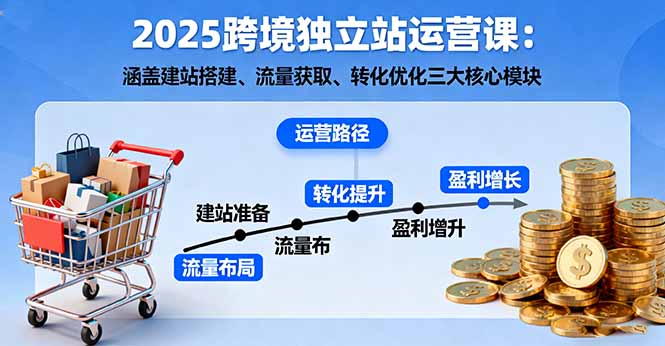 2025跨境独立站运营课：涵盖建站搭建、流量获取、转化优化三大核心模块-云创网