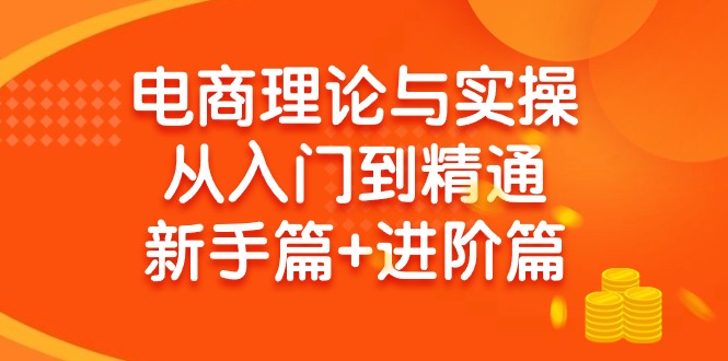 (9576期)电商理论与实操从入门到精通 新手篇+进阶篇-云创网