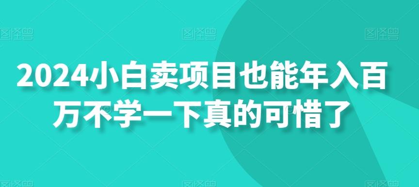 2024小白卖项目也能年入百万不学一下真的可惜了-云创网