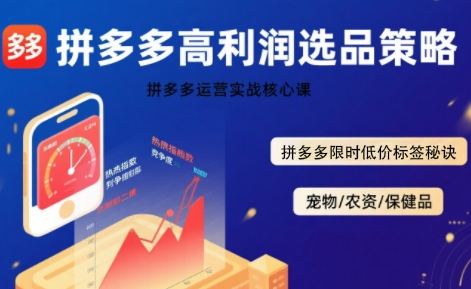 拼多多选品暴利技术实战课，拼多多高利润选品策略，拼多多限时低价标签秘诀-云创网