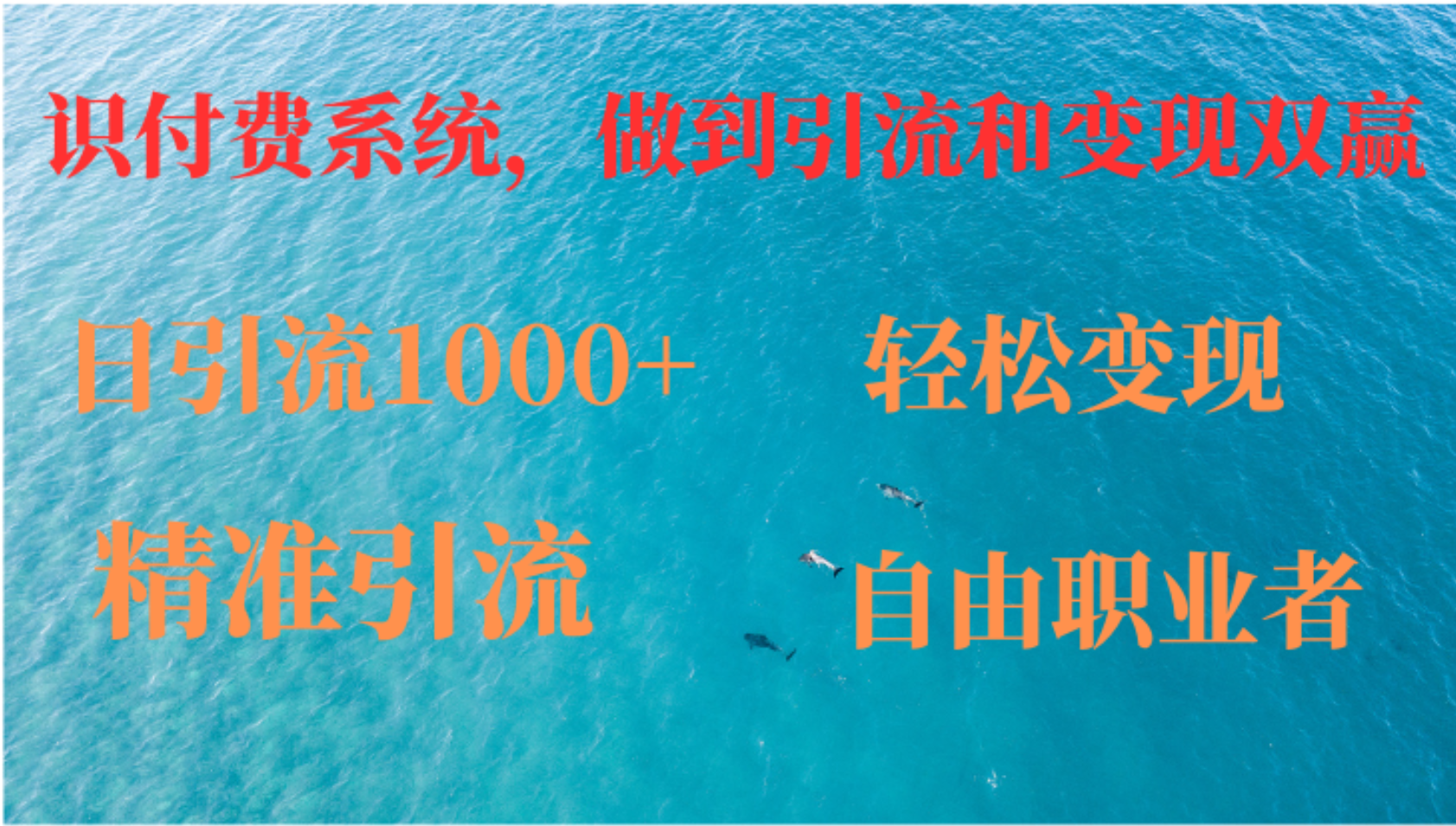 如何搭建自己的知识付费系统，做到引流和变现双赢-云创网
