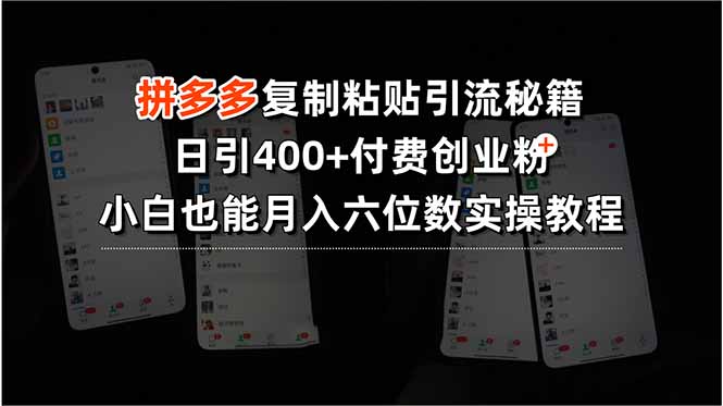 拼多多复制粘贴引流秘籍，日引400+付费创业粉，小白也能月入六位数实操…-云创网