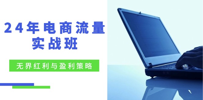 24年电商流量实战班：无界 红利与盈利策略，终极提升/关键词优化/精准…-云创网