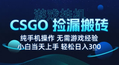 8月最新游戏搬砖，CSGO纯挂G，不需要玩游戏，实现真挂G，月入1W+【揭秘】-云创网