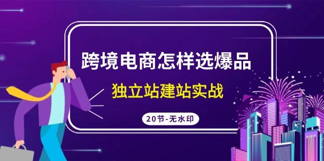 (9369期)跨境电商怎样选爆品，独立站建站实战(20节高清无水印课)-云创网