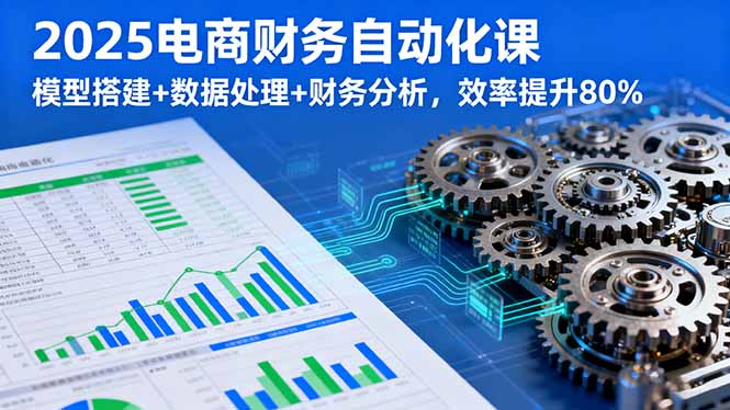2025电商财务自动化课，模型搭建+数据处理+财务分析，效率提升80%-云创网