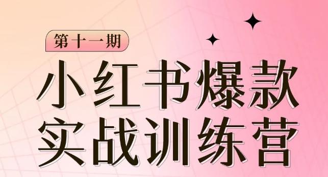 小红书博主爆款训练营第11期，手把手教你从0-1做小红书，从定位到起号到变现-云创网