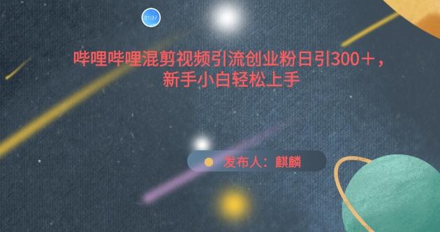 哔哩哔哩混剪视频引流创业粉日引300+，新手小白轻松上手【揭秘】-云创网