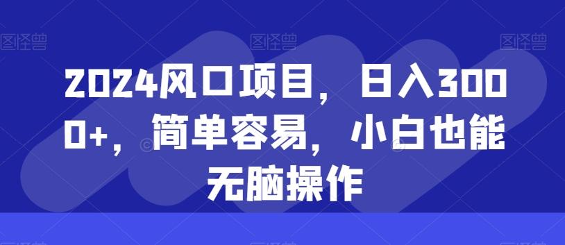 2024风口项目，日入3000+，简单容易，小白也能无脑操作-云创网