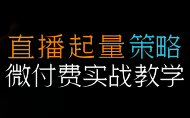 半野老师·直播带货起量与微付费必学课视频号(更新2026)-云创网