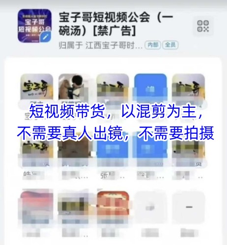 宝子哥头部团队短视频带货，以混剪为主，不需要真人出镜，不需要拍摄【更新26年3月】-云创网