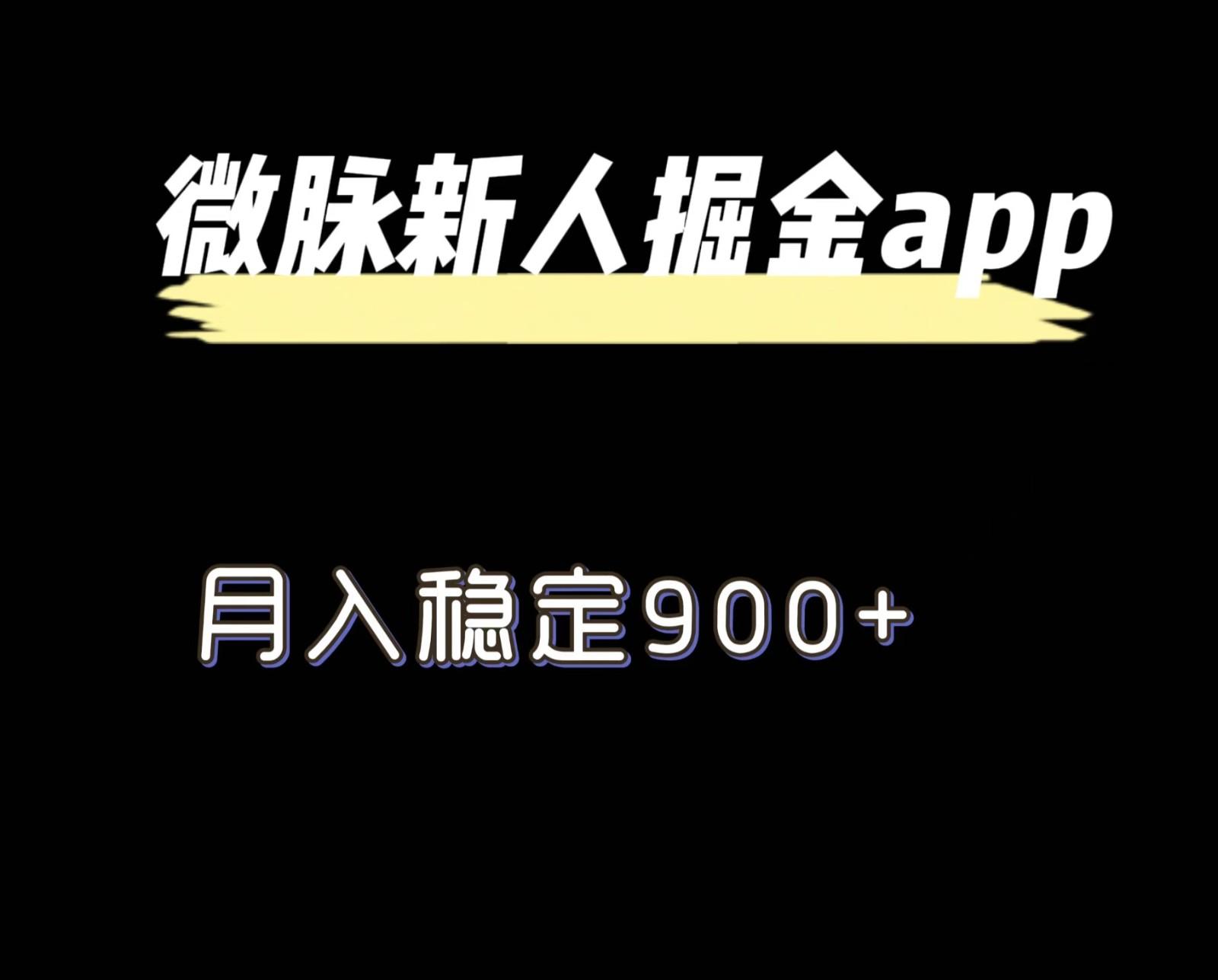 最新微脉长久项目，拉新掘金，月入稳定900+-云创网