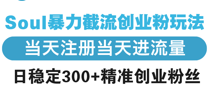 Soul暴力截流创业粉玩法，当天注册当天进流量，日稳定300+精准创业粉丝-云创网