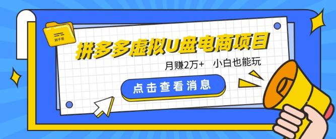 拼多多虚拟U盘电商红利项目：月赚2万+，新手小白也能玩-云创网