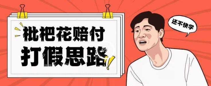 最新打假原料枇杷花赔付玩法一单收益1000+小白轻松下车【详细视频玩法教程】【仅揭秘】-云创网