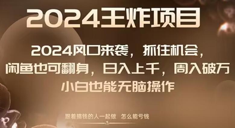 2024风口项目来袭，抓住机会，闲鱼也可翻身，日入上千，周入破万，小白也能无脑操作-云创网