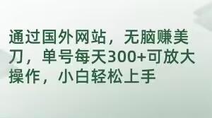 通过国外网站，无脑赚美刀，单号每天300+可放大操作，小白轻松上手【揭秘】-云创网