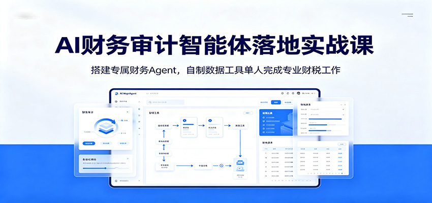 AI财务审计智能体落地实战课：搭建专属财务Agent，自制数据工具单人完成专业财税工作-云创网