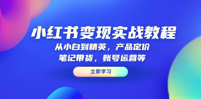 小红书变现实战教程：从小白到精英，产品定价，笔记带货，账号运营等-云创网