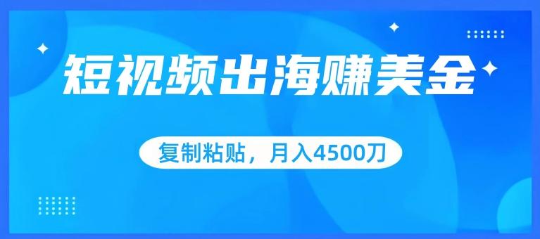 短视频出海赚美金，复制粘贴批量操作，小白轻松掌握，月入4500美刀【揭秘】-云创网