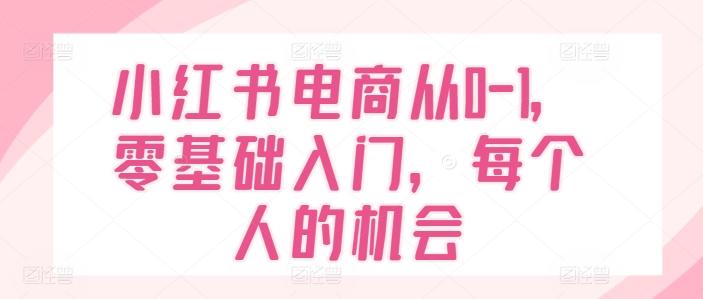 小红书电商从0-1，零基础入门，每个人的机会-云创网