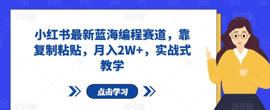 小红书最新蓝海编程赛道，靠复制粘贴，月入2W+，实战式教学【揭秘】-云创网