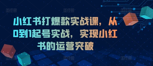 小红书打爆款实战课，从0到1起号实战，实现小红书的运营突破-云创网