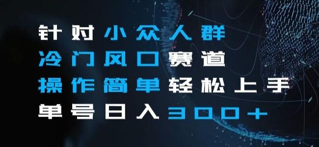 针对小众人群冷门风口赛道，操作简单轻松上手单号日入300+-云创网