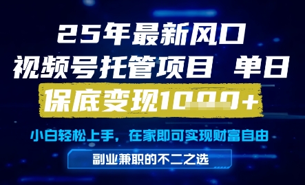 25年最新风口，视频号托管项目，单日保底变现1k+，手把手教学【揭秘】-云创网