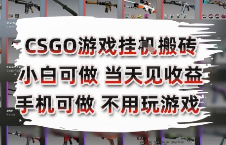 CSGO游戏挂G搬砖，小白纯手机即可操作，不用电脑打游戏，日入3张+，副业网创项目【揭秘】-云创网