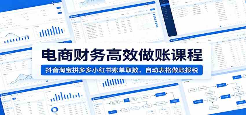 电商财务高效做账课程：抖音淘宝拼多多小红书账单取数，自动表格做账报税-云创网