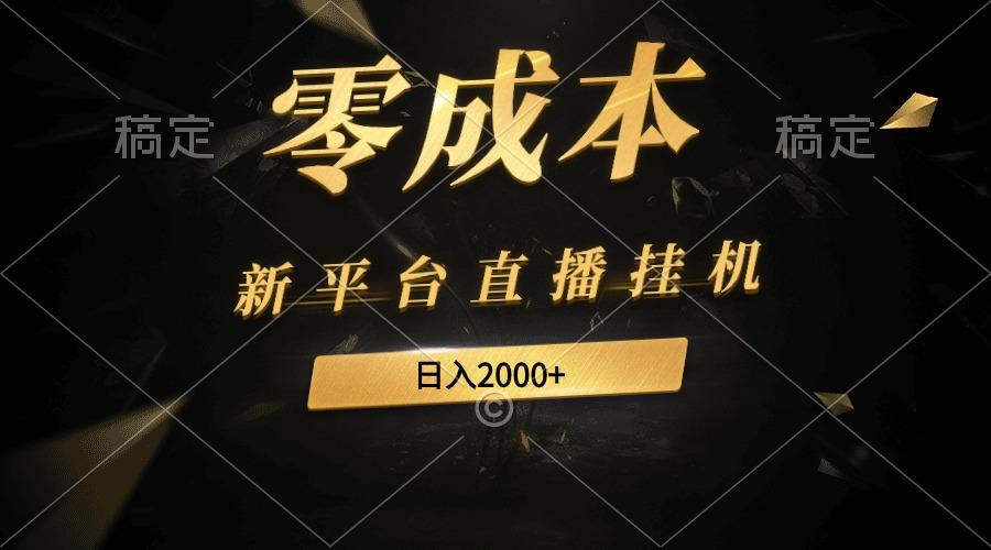 (9841期)新平台直播挂机最新玩法，0成本，不违规，日入2000+-云创网