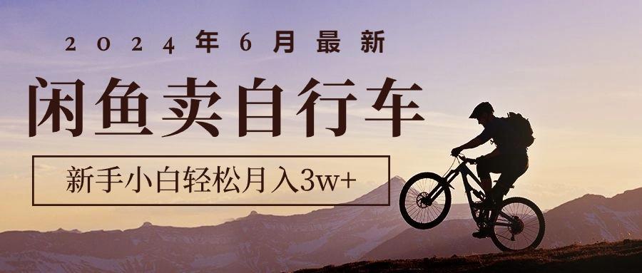2024年6月最新闲鱼卖自行车，新手小白轻松月入3w+项目-云创网
