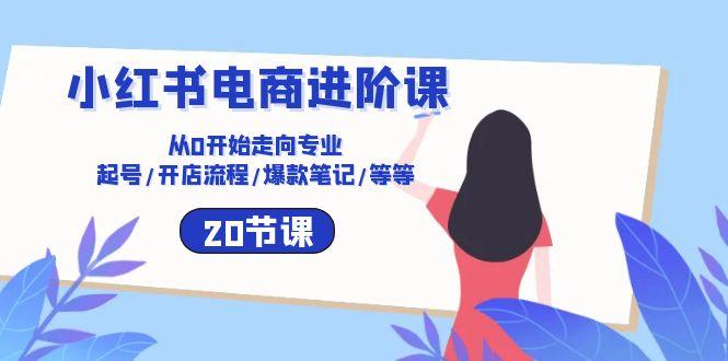 小红书电商进阶课：从0开始走向专业 起号/开店流程/爆款笔记/等等(20节-云创网