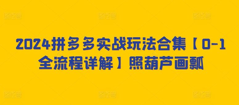 2024拼多多实战玩法合集【0-1全流程详解】照葫芦画瓢-云创网