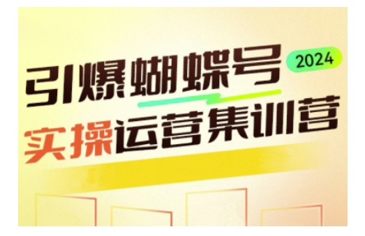 引爆蝴蝶号实操运营，助力你深度掌握蝴蝶号运营，实现高效实操，开启流量变现之路-云创网