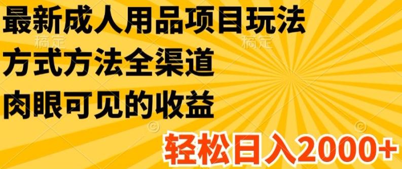 最新成人用品项目玩法，方式方法全渠道，轻松日入2K+【揭秘】-云创网