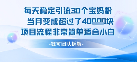 每天稳定引流30个人 当月变成超过了4个W项目流程非常简单适合小白-云创网