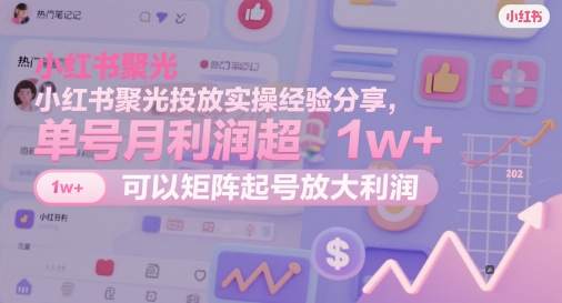 小红书聚光投放实操经验分享，单号月利润超1w+，可以矩阵起号放大利润-云创网
