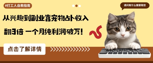 从兴趣到副业靠宠物占卜收入翻3倍一个月纯利润破W-云创网