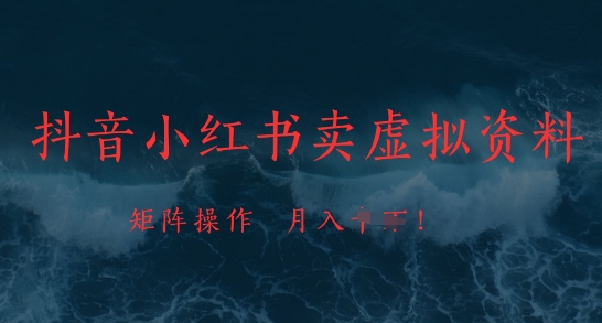 抖音小红书卖虚拟资料，市场需求一直存在，矩阵操作，月入1w+-云创网